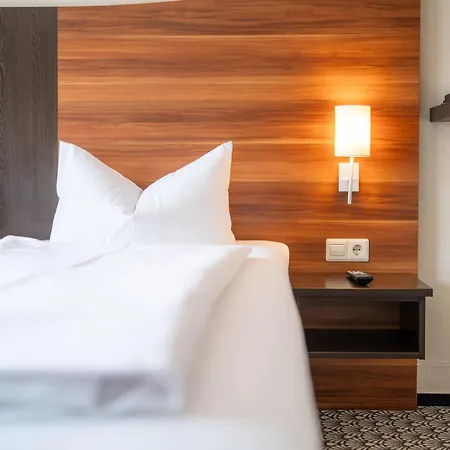 Parkhotel 3* 린다우