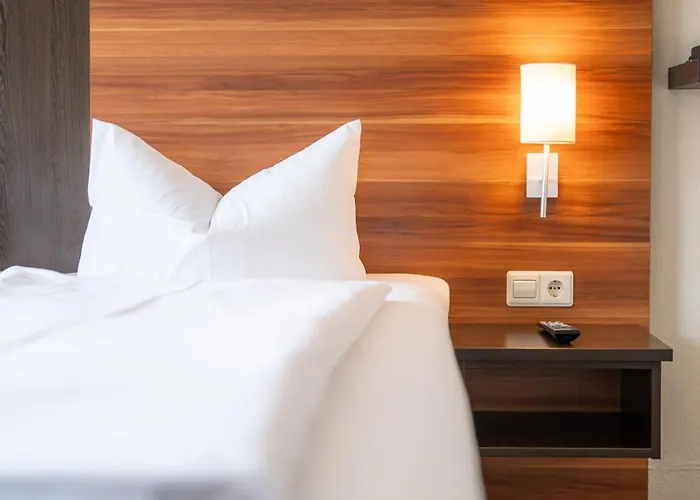Parkhotel 3* لينداو